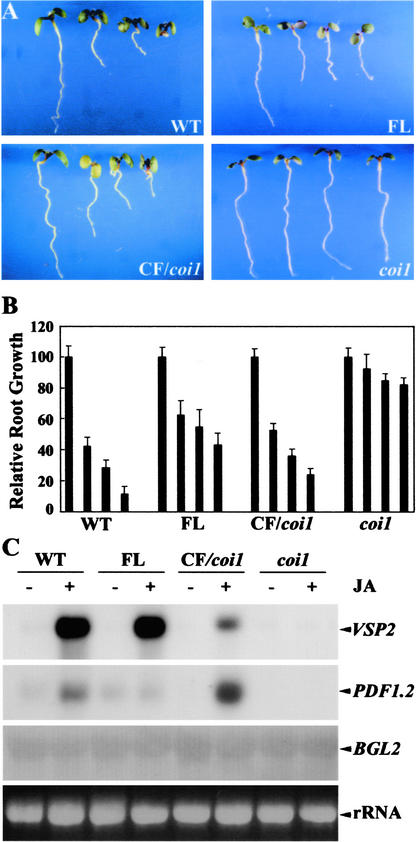 Figure 4.