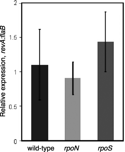 FIG. 7.