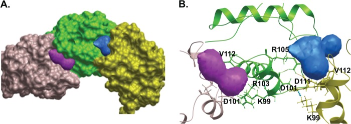 FIGURE 7.