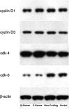<b>FIG. 5.</b>