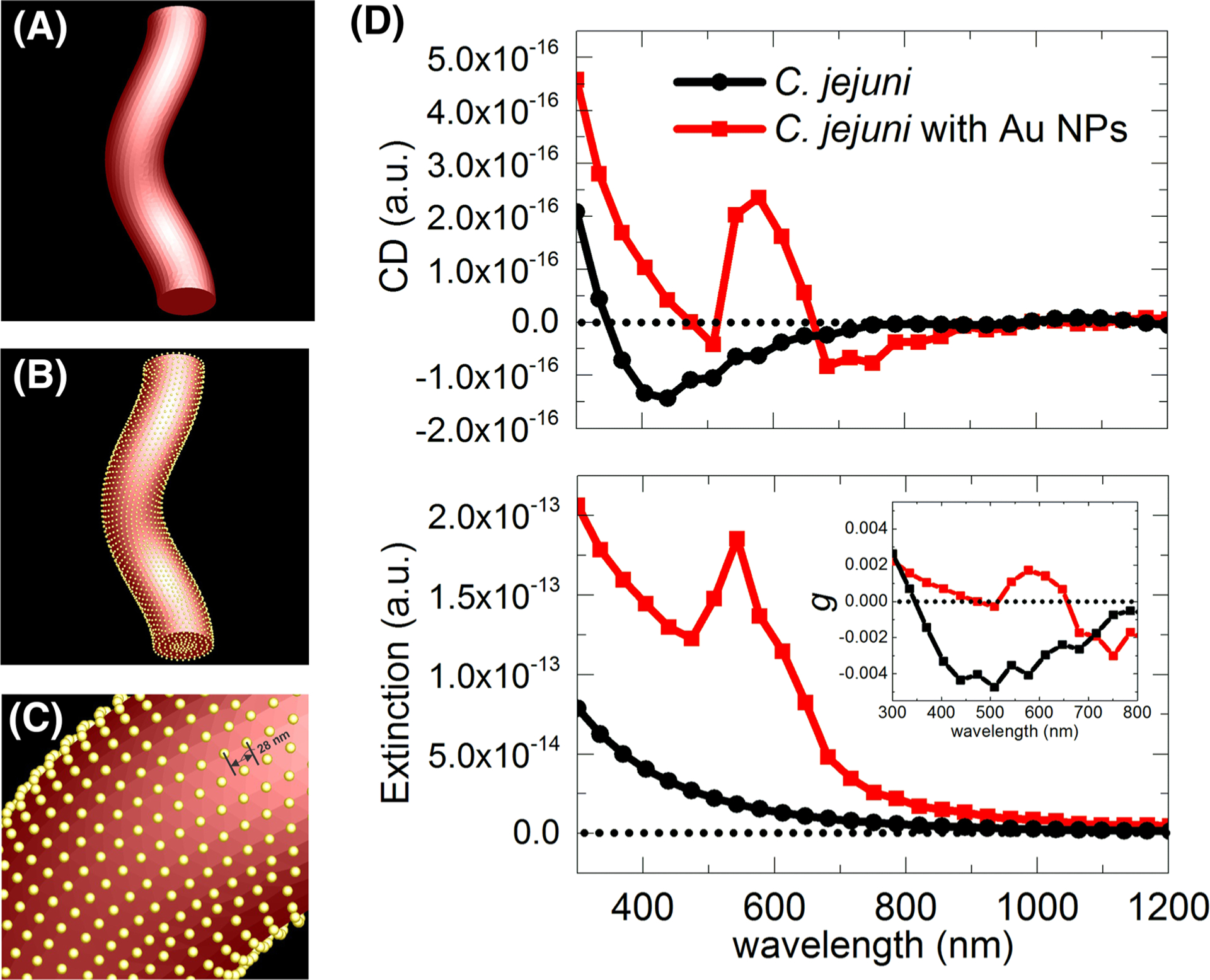 FIGURE 3