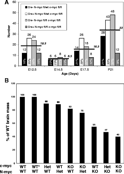 Fig. 1.