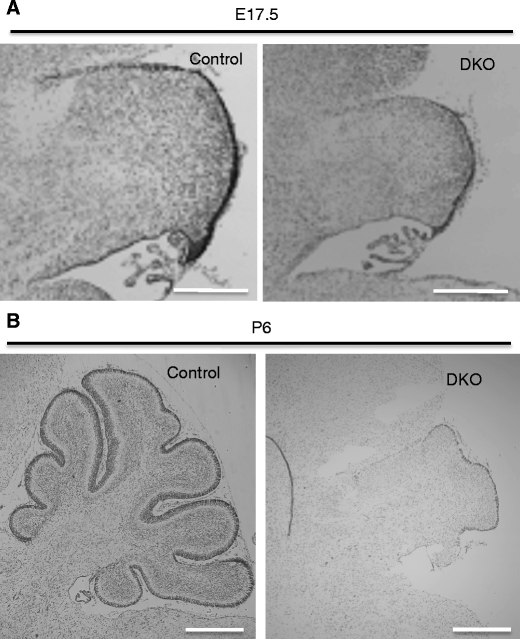 Fig. 2.