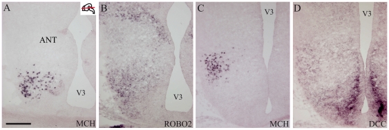 Figure 13