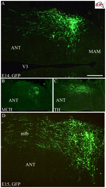 Figure 9