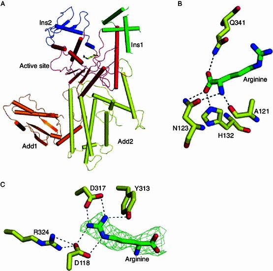 Figure 1