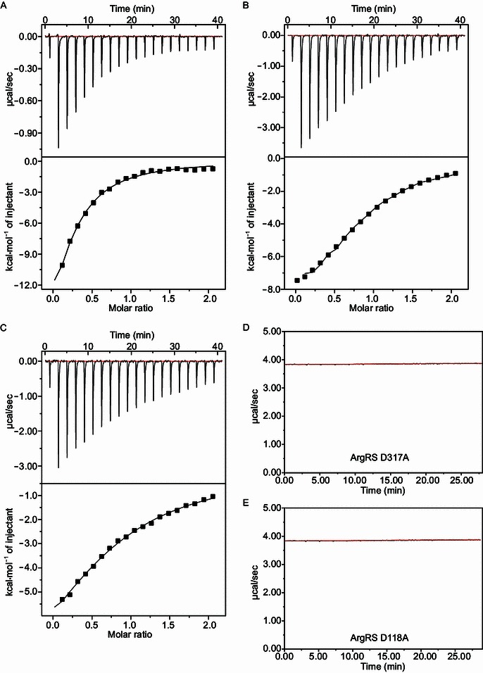 Figure 2