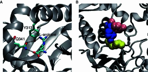 Figure 6