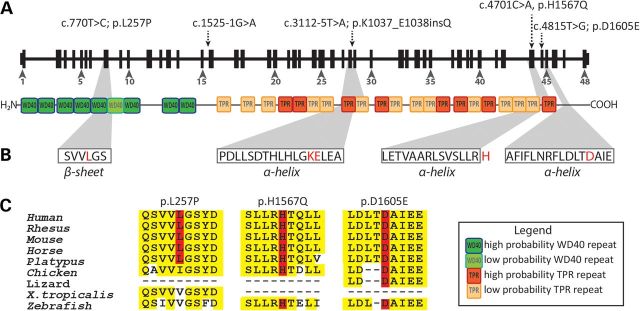 Figure 2.