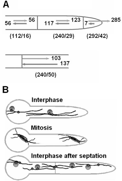 Figure 10.