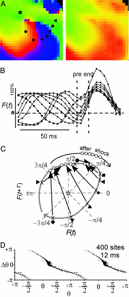 Fig. 5.