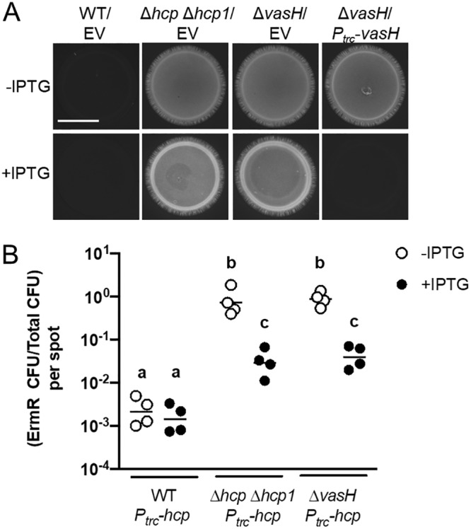 FIG 8