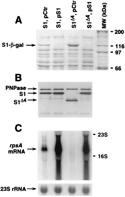 FIG. 6