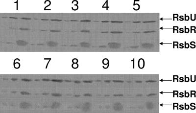 FIG. 5.