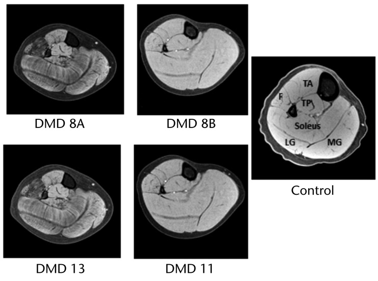 Figure 6.