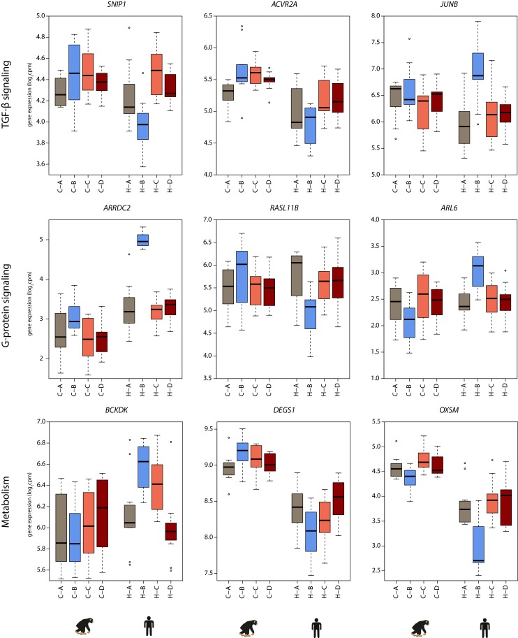 Figure 4—figure supplement 1.