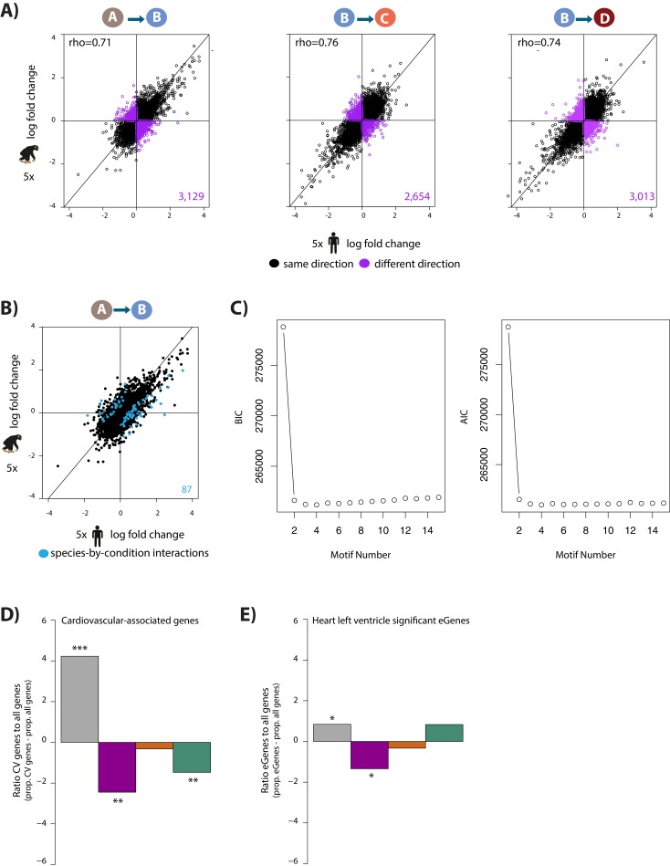 Figure 2—figure supplement 6.