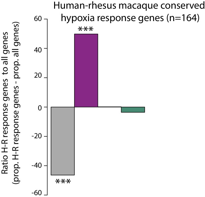 Figure 6—figure supplement 1.