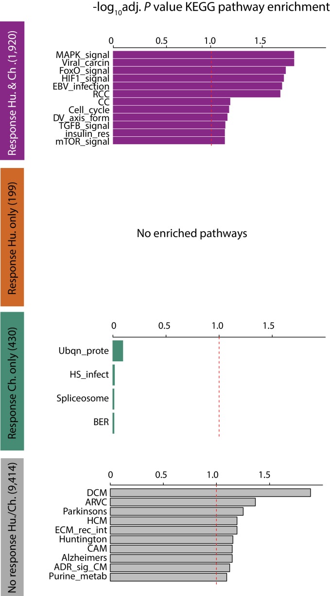 Figure 6—figure supplement 2.