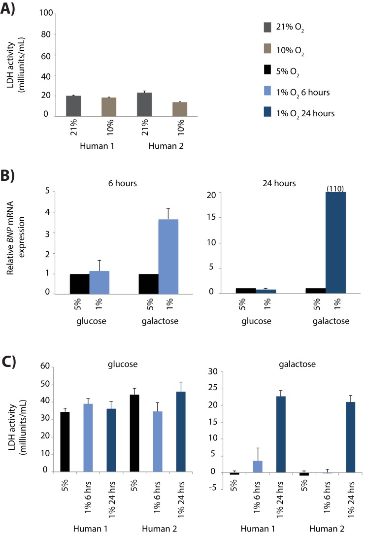 Figure 1—figure supplement 4.