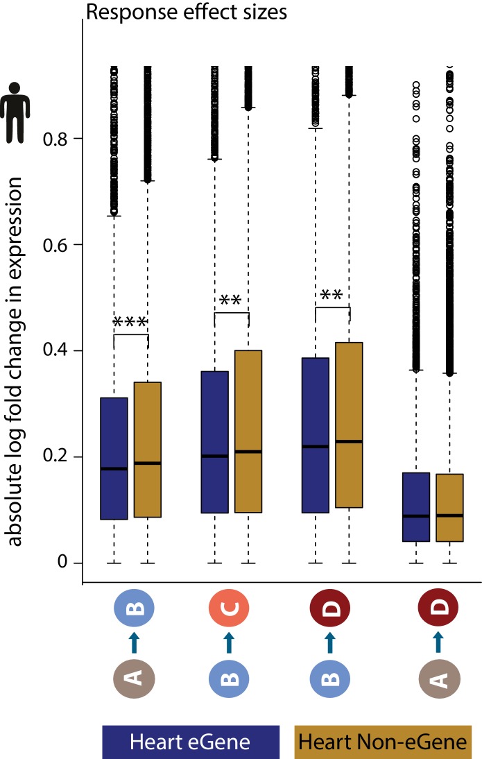 Figure 7—figure supplement 2.