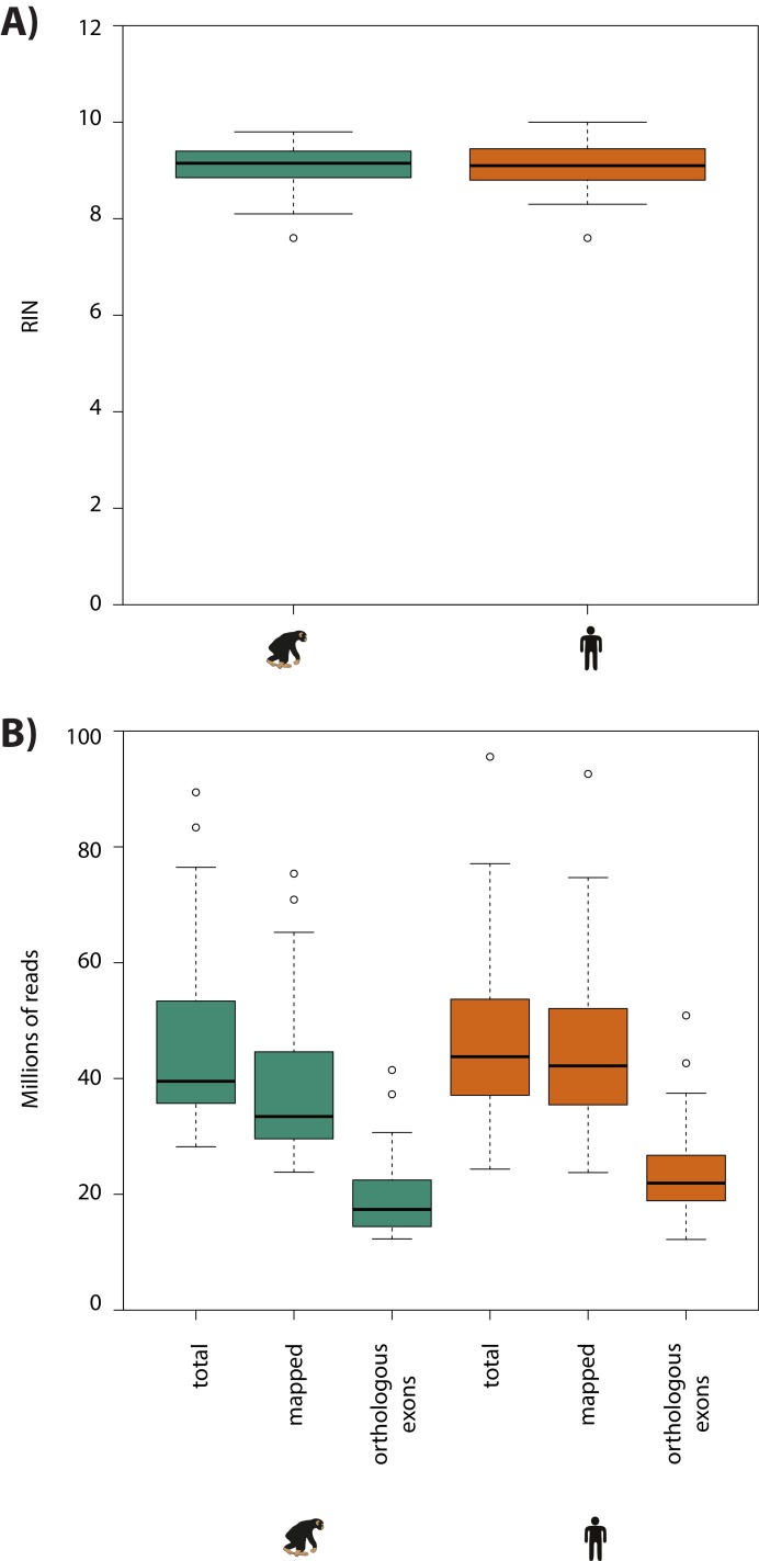 Figure 2—figure supplement 1.