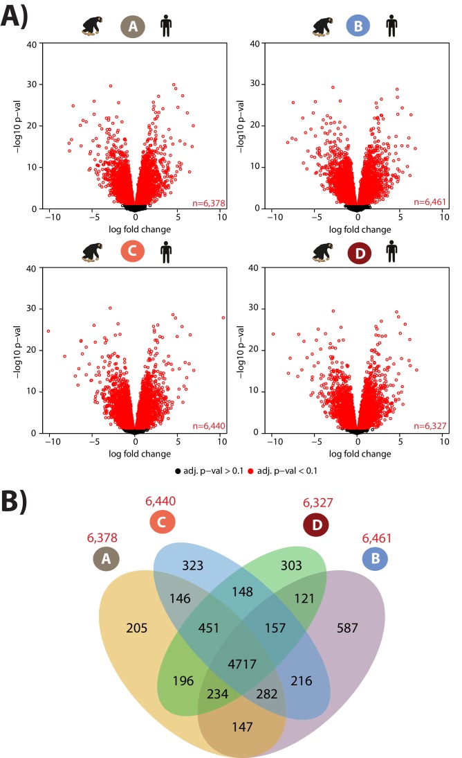 Figure 2—figure supplement 7.