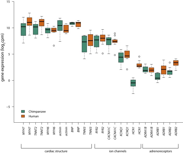 Figure 2—figure supplement 3.