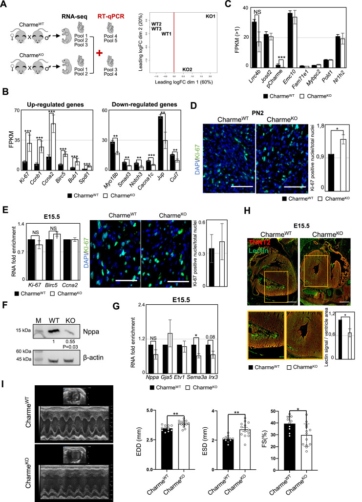 Figure 2—figure supplement 1.