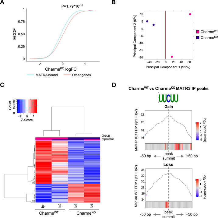 Figure 5—figure supplement 1.