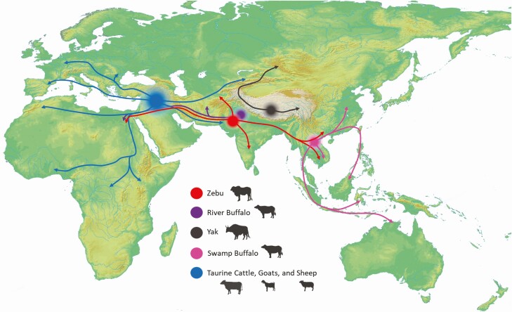 Figure 1.