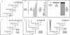 FIG. A1.