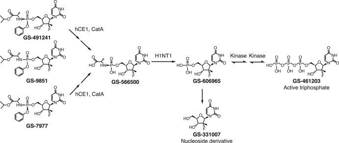 Fig 1