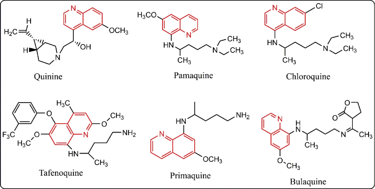 Fig. 1