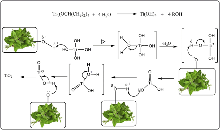 Fig. 3