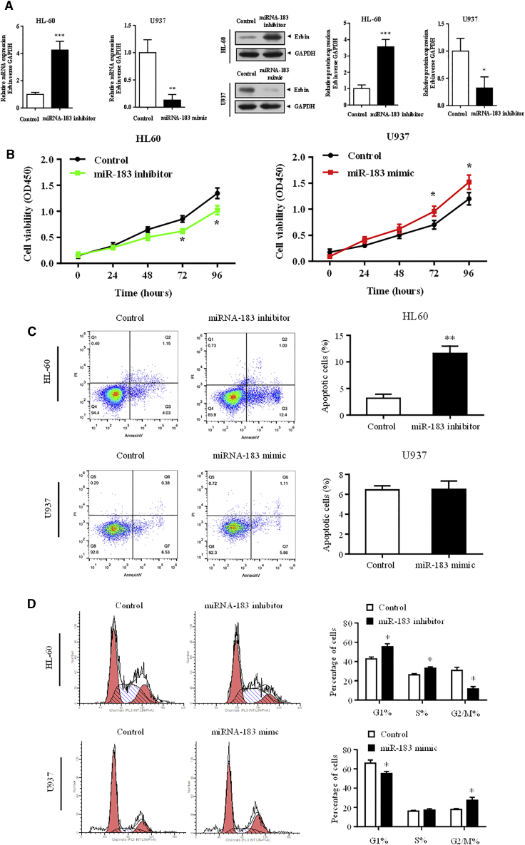 Figure 5