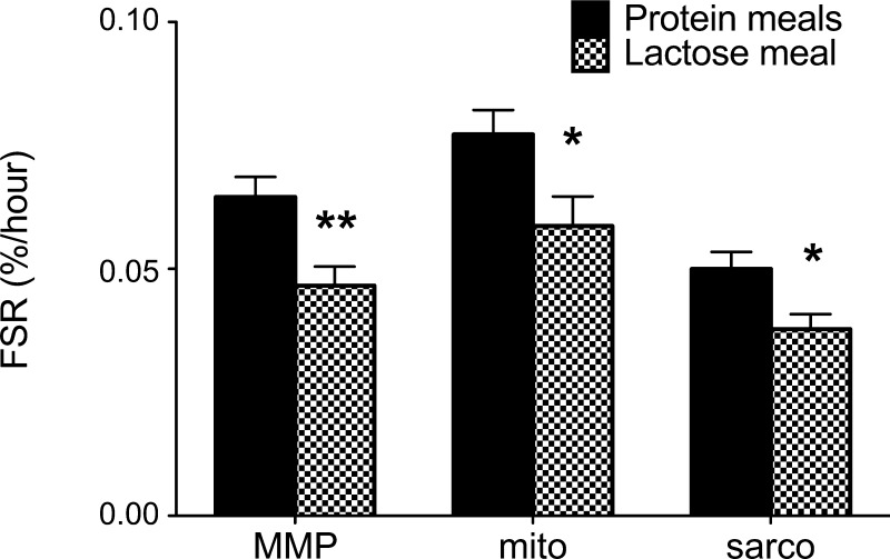 Fig. 8.