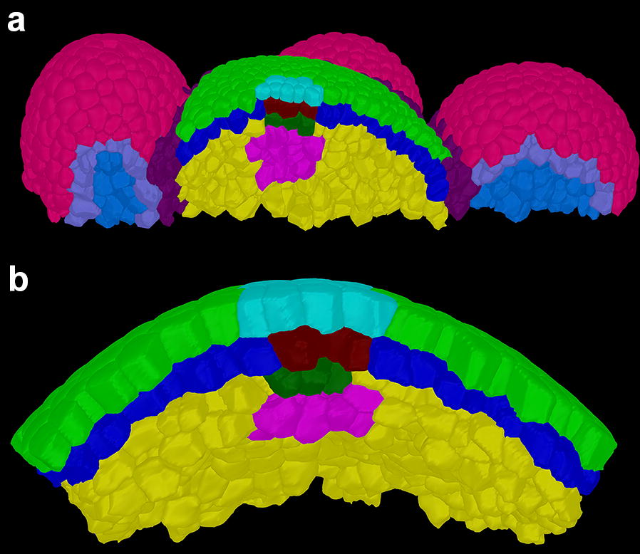 Fig. 3