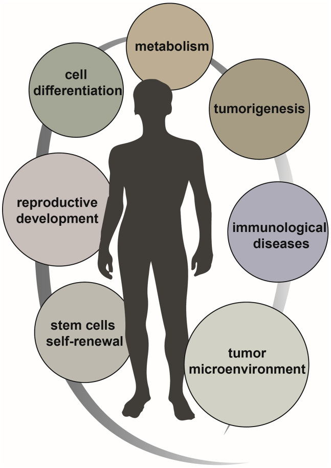 Figure 4