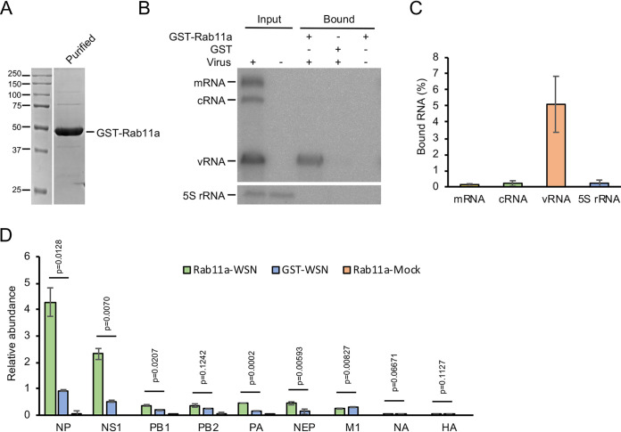 FIG 1