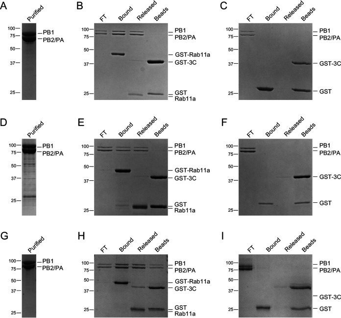 FIG 2