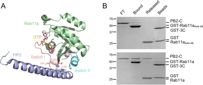 FIG 4