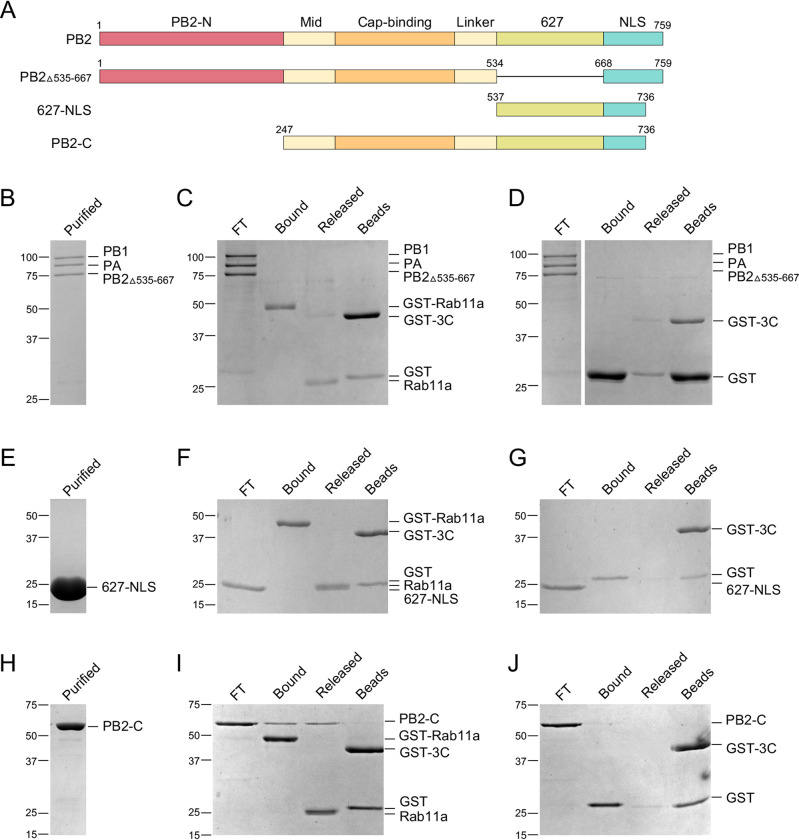 FIG 3