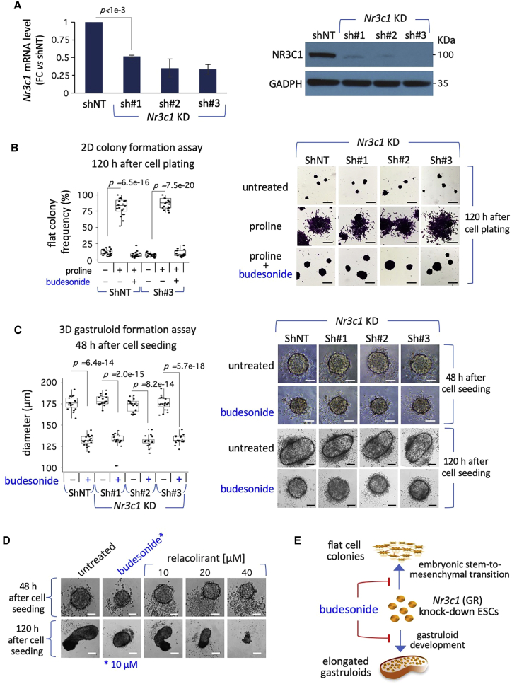 Figure 4