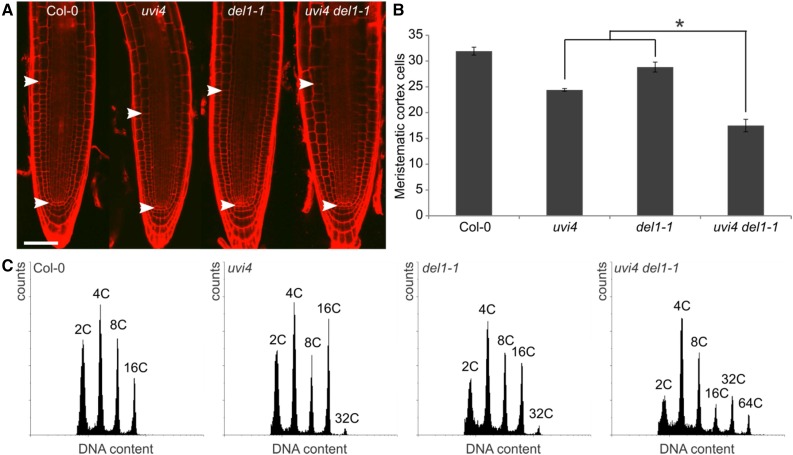 Figure 4.