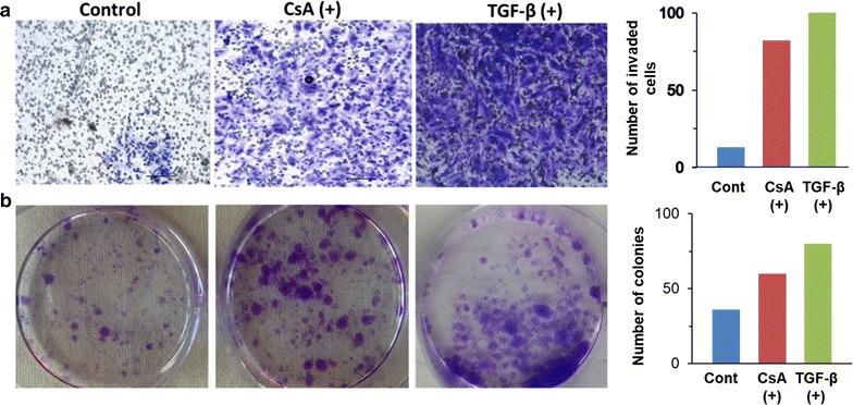 Fig. 5