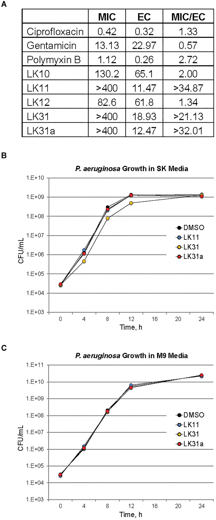 FIGURE 5