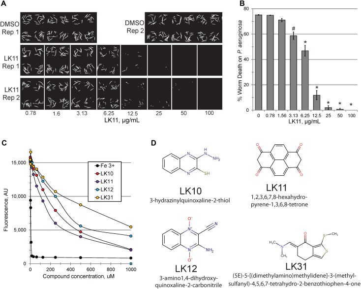 FIGURE 2