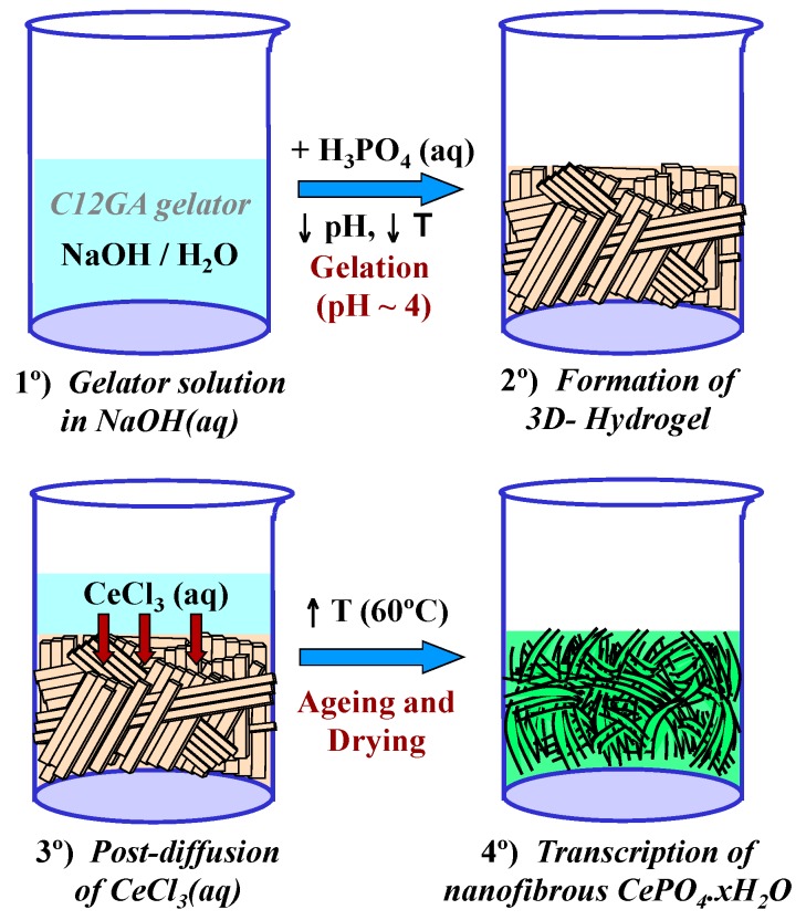 Scheme 2