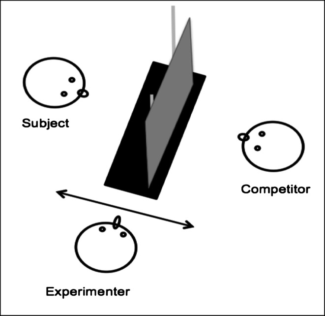 Fig. 1